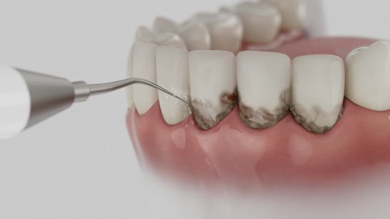 Reliable Dental contractor in McCormick County County, SC by Dentist Open Now